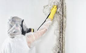 Best Residential Mold Inspection & Testing in USA